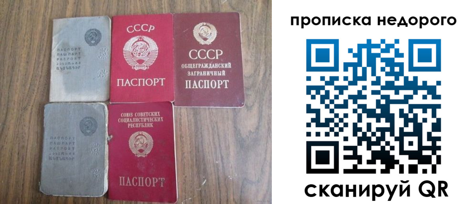 временная регистрация поиск в Чкаловске